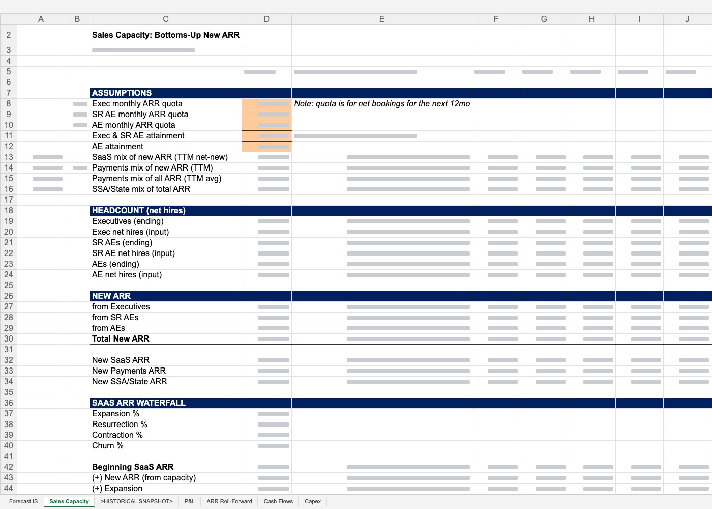 Forecast model sent to the buyer, sales capacity tab